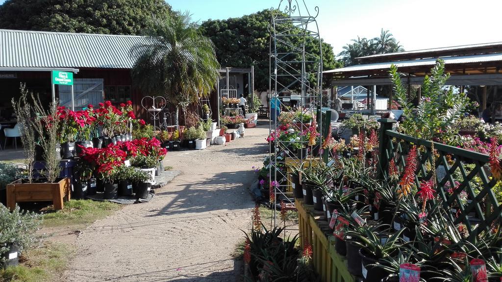 Evergreen Salt Rock Ballito Luaran gambar